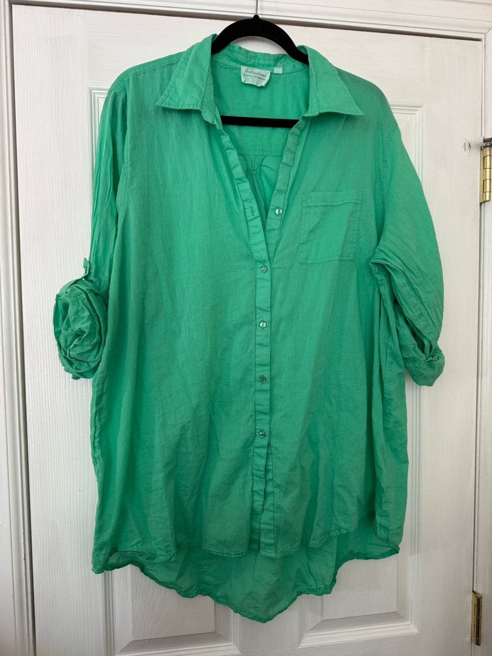 True Destination vibrant kelly green oversized button-down shirt.